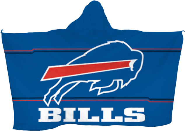 **Carolina Panthers Strategic Shift in 2024**